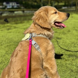 AUMAILI Dog Training Long Leash Waterproof Long Line Heavy Duty Outdoor Recall Lead 10ft 15ft 20ft 30ft 50ft for Small Medium Large Dog (Rose Pink, 15FT)