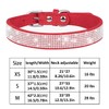 TSKDKIT Puppy Collar for Cat Small Dog Collar Cute Rhinestone