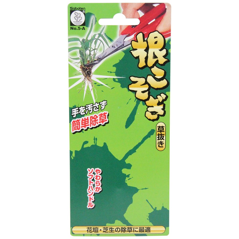 Cactus No.5-A Without grass roots