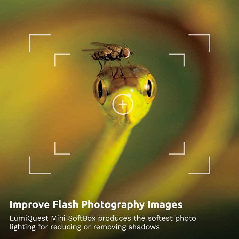 LumiQuest Mini SoftBox With UltraStrap