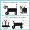 Babyjoy Wagon Stroller for 2 Kids Push Pull Double Stroller