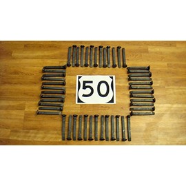 50 New Railroad Spikes