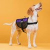 Dogline Do Not Pet Vest Patches – Removable Do Not