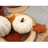 Elanze Designs Classic White 6 inch Resin Harvest Decorative Pumpkin