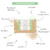 puremetics Zero Waste Shower Gel Powder "Lime" (100 g =