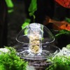 DONGKER Transparent Snail Catcher, Aquarium Snail Trap Snail Box for