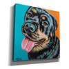 Epic Graffiti 'Rottweiler' by Carolee Vitaletti Canvas Wall Art, 12"
