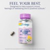 SOLARAY St. Johns Wort Aerial Extract One Daily 900mg, Standardized