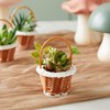 24 Pack Mini Woven Baskets with Handles - Bulk Miniature