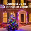 XMASHOME 63.8FT Green Wire Multicolor String Lights, 300 Count (150L*2pcs)