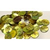 Unbranded 8 PCS ONLY! Dyed Lime Green Lasered Abalone Shell