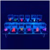 Ultimate Fluorescent Minerals Collection, 12 Rare Glowing Stones Set with
