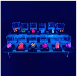 Ultimate Fluorescent Minerals Collection, 12 Rare Glowing Stones Set with UV Flashlight and Display Stand, STEM Geology Science Gift for Students and Collectors
