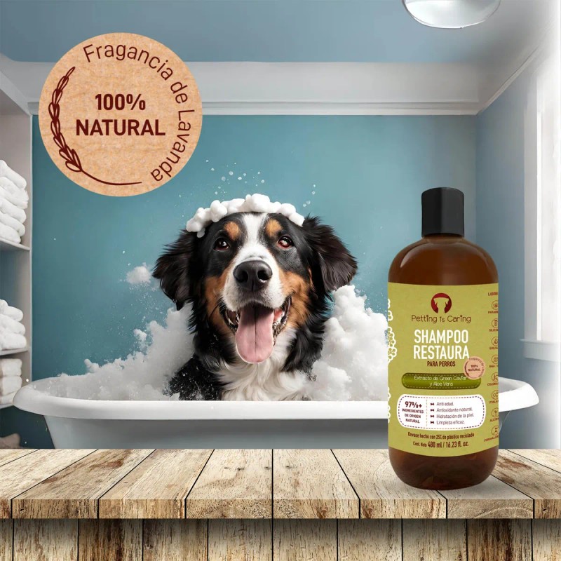 Shampoo Natural Perros Gato 480ml - Champú 97% Ingredientes