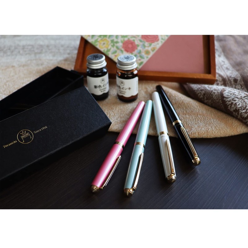 Teranishi Chemical GFPNB-WH-F Guitar Fountain Pen, Brillante, White