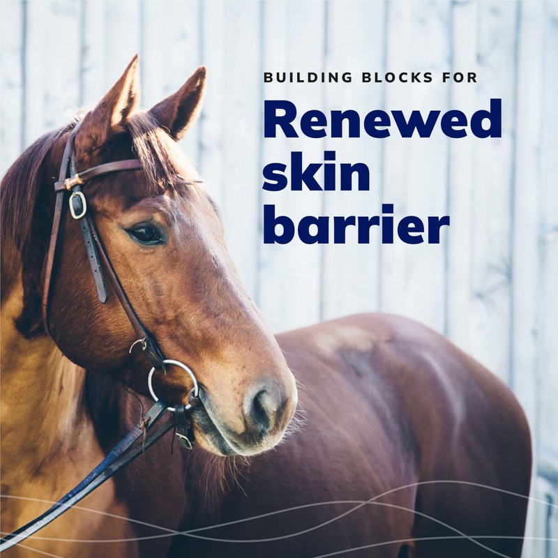 CeraSoothe® SA Otic Cleansing Solution 8oz