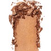 Revlon Skinlights Prismatic Powder Bronzer, Translucent-to-Buildable Coverage, Sunlit Glow (110),