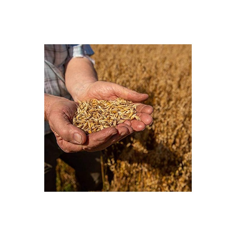 Flahavan's Quick to Cook 5 Minute, Irish Steel Cut Oatmeal,