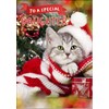 doodlecards Daughter Christmas Card Cute Santa Paws Kitten Cat Pet