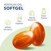 FOCUS MAX | Luteína con Zeaxantina y Omega 3 |