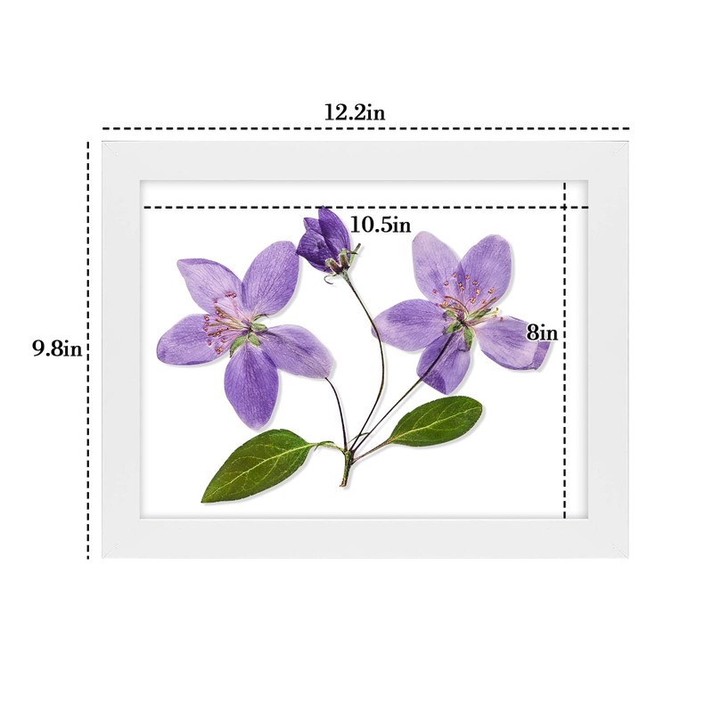 Frametory, Document/Diploma Table-Top Frame for 8.5x11 Picture & Real Glass