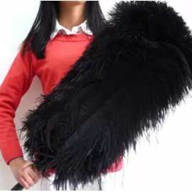 FeatherParadise 2 Pcs Black 26-28 inches Ostrich Feather/Plume/