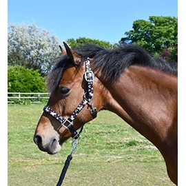 Rhinegold Unicorn Headcollar and Rope Set - Pony - Black