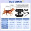 SCENEREAL No Pull Dog Harness Collar and Leash Set Small