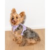 Wild One Harness 2.0 - Small - Lilac