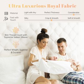 Ashton Sheets 100% Egyptian Cotton Sheets Queen Size - 800 Thread Count 4 PC Queen Sheet Set Egyptian Cotton, Sateen Luxury Sheets Queen Size, High Thread Count Sheets, 16" Deep Pocket - Burgundy