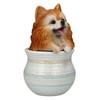 Pomeranian Dog Figurine in Flower Pot - Polyresin Dog Figurine,