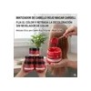 Mascarilla Matizadora Roja Maca Carsell 250ml