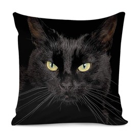 Amzbeauty Stylish Decorative Throw Pillow Case Covers Bedroom Sofa Living Room Pillowcases Luxury Sofa Square 18”x 18” Funny Black Cat Pattern