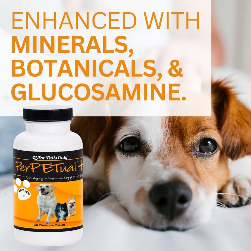 Youngevity Perpetual Plus Made-for-Pets Supplement, 60 Count (Pack of 1)