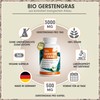 Organic Barley Grass Capsules 730x - Optimal High Dose with
