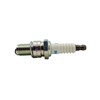 Polaris Spark Plug, Part 3070163