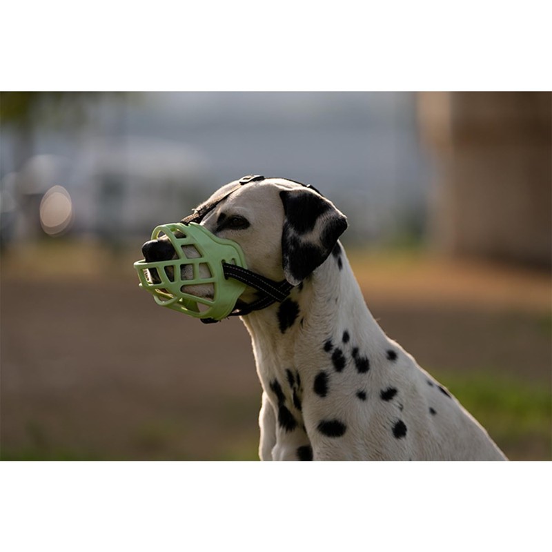 HangYa Fluorescent Green Dog Muzzle, TPR Material, XS, Extra Small