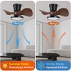 ocioc Quiet Ceiling Fan with LED Light 22 inch Large