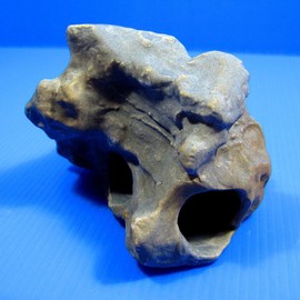 CORISRX BEST OF YOUR LIFESTYLE DR. Moss Aquarium Decorations Cichlid Stone Marine Rock Cave Decor Decorative Fish Tank Freshwater Saltwater for Small Girls Tiny Turtle Reptile