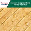 Thompson's WaterSeal Clear Wood Sealer, Clear, 1 Gallon