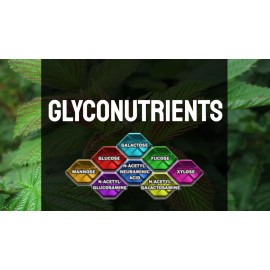 Unbranded Glyconutrients - Glyco Nutrient powders USA all natural ingredients - 4.5oz