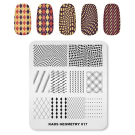 Alexnailart Stainless Steel Nail Stamping Template Manicure Nail Art DIY Decoration