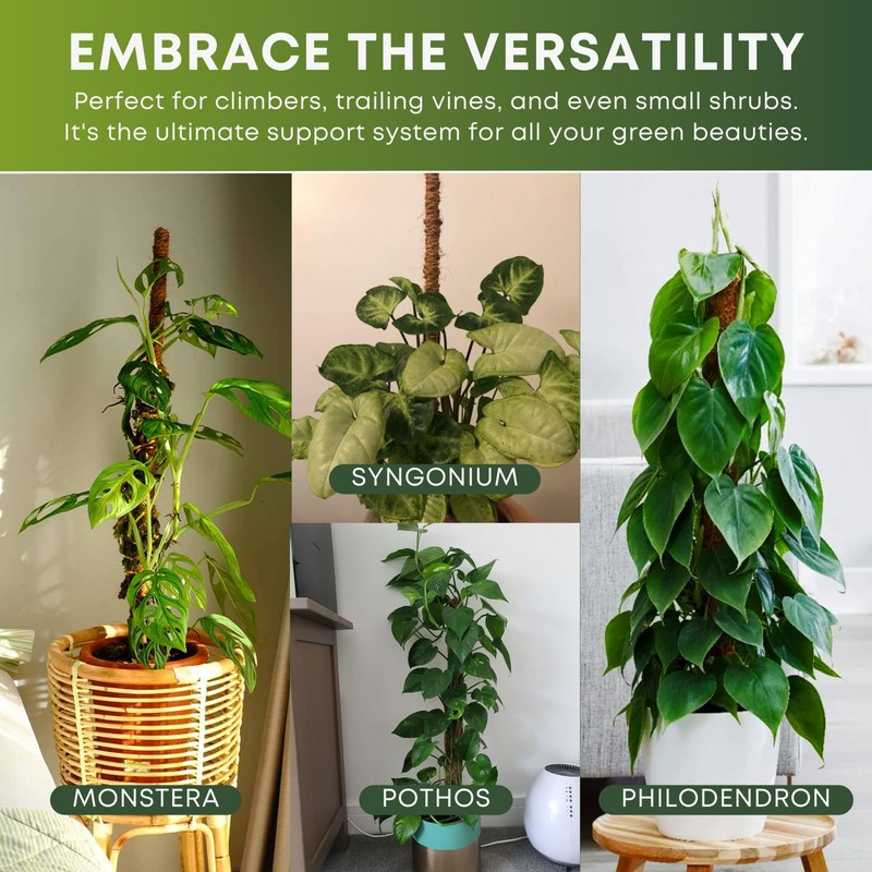 Auraville Moss Pole Monstera Plant Support | 48 Inch Plant