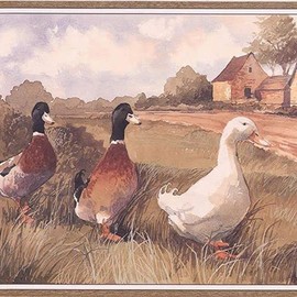 CONCORD WALLCOVERINGS ™ Wallpaper Border Country Pattern Retro Village Ducks for Cottage Farmhouse, Brown White Orange Green Brown Light Blue Black, 9.25 Inches by 15 Feet ZK60242B