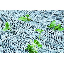 Clarke Walla instead Seat Silver 1x10 m