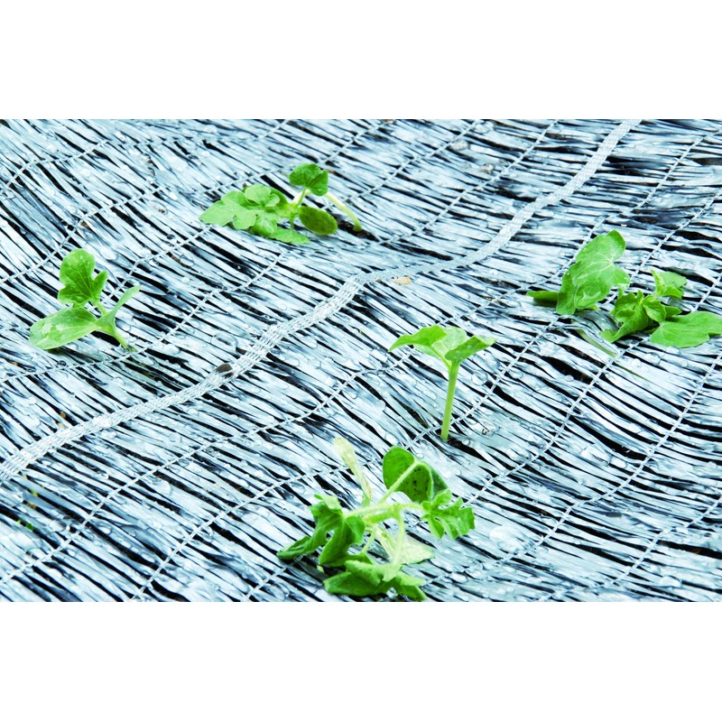 Clarke Walla instead Seat Silver 1x10 m