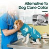 Kuoser Dog Recovery Suit for Surgery, Soft Dog Surgery Suit