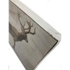 IKEA BJORNAMO - Poster, 11 ¾ x 7 ¾ Bear