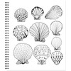Color & Frame - Ocean Treasures (Adult Coloring Book)