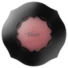 Visee Riche Foggy On Cheeks N RD421 Classic Red 0.2